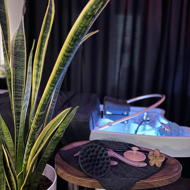 4 Cleansing Hairspa at Chairwoman Mao in Frisco, TX